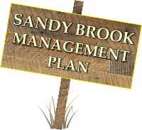 Sandybrook Plan
